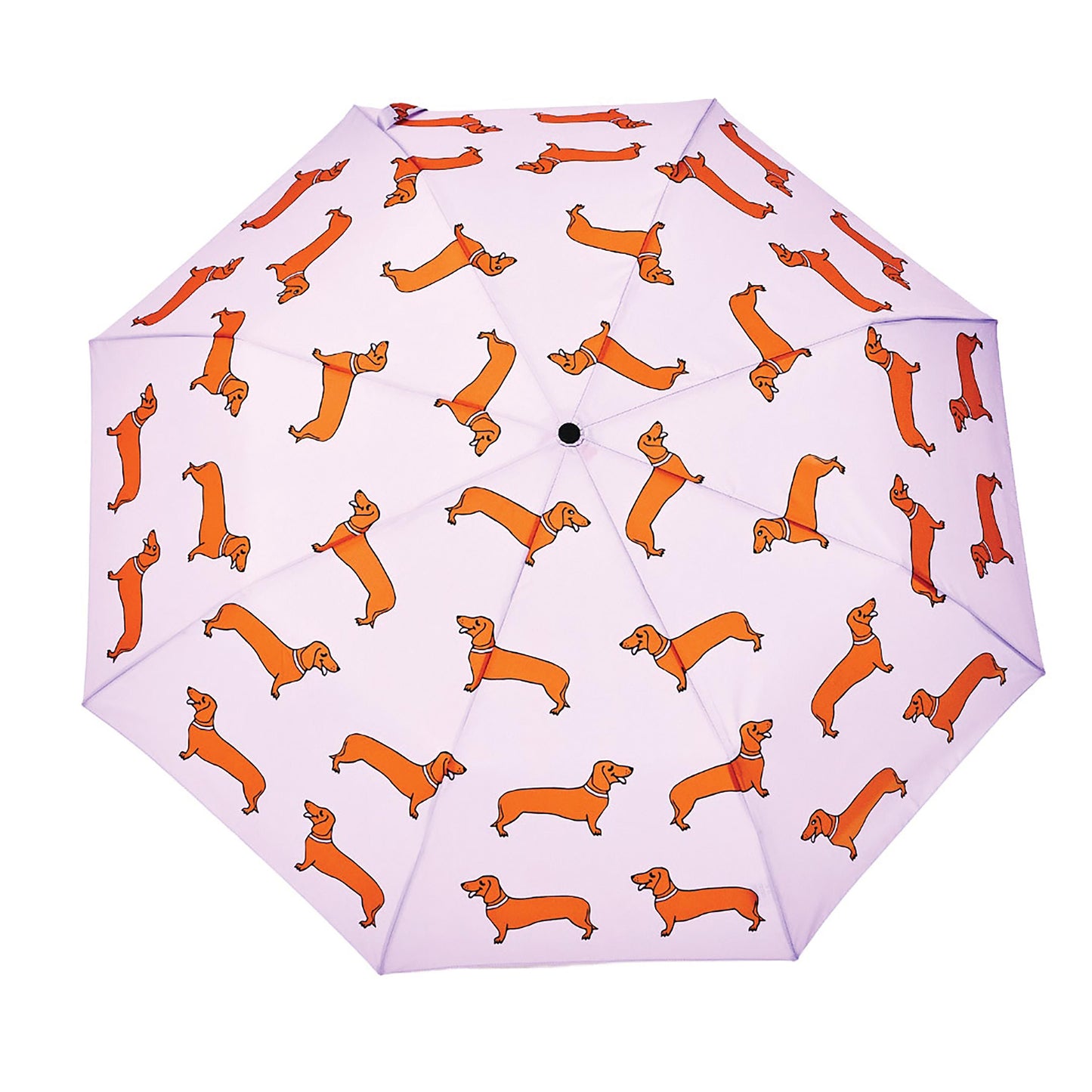 Compact Umbrella - Coucou Suzette Dachshund Purple