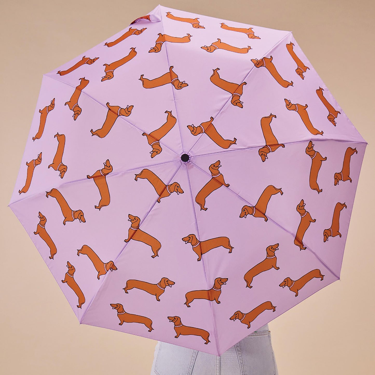 Compact Umbrella - Coucou Suzette Dachshund Purple