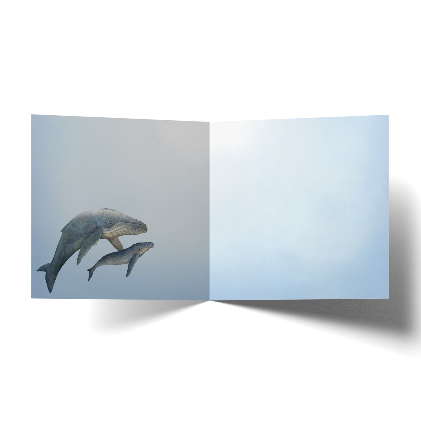 Congratulation Whales greeting card - Mu Shop
