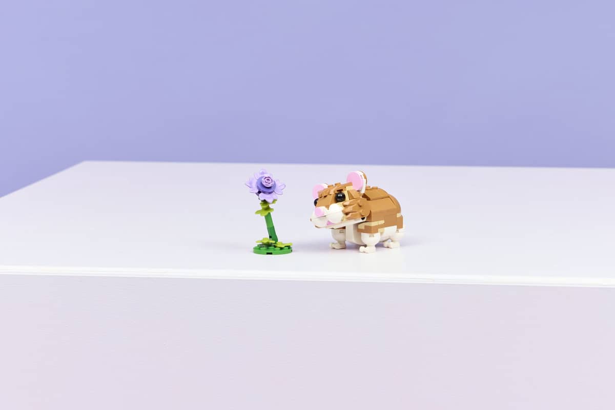 Cute Hamster with a Flower - Mu Shop