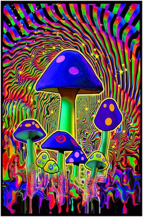 Mind Melt Blacklight 58 × 89 cm Poster