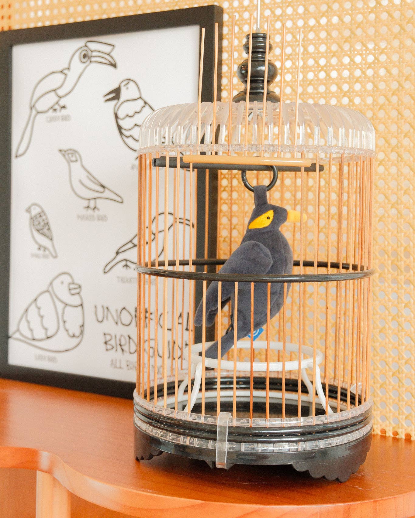 Mynah Bird Plushie Large Reusable Bag