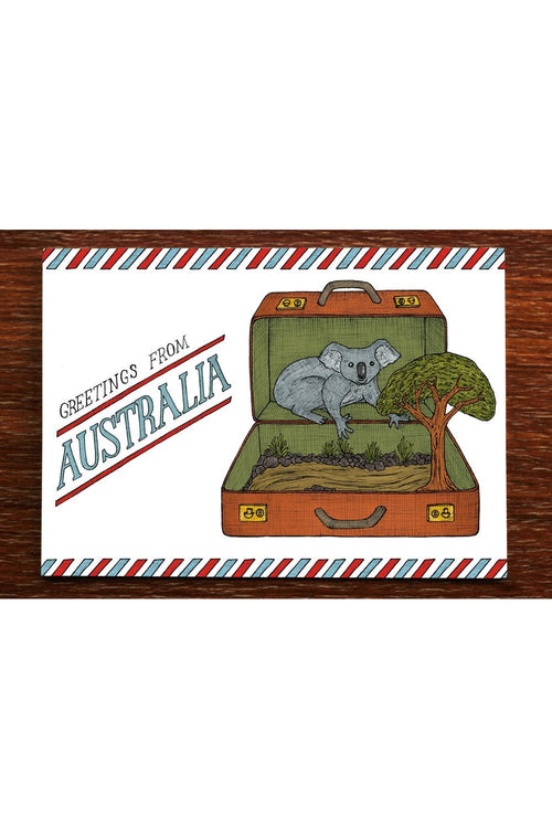 Koala Suitcase - Australian Postcard