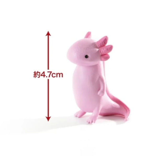 Kyomu Animals Vol.3 Blind Box - Mu Shop