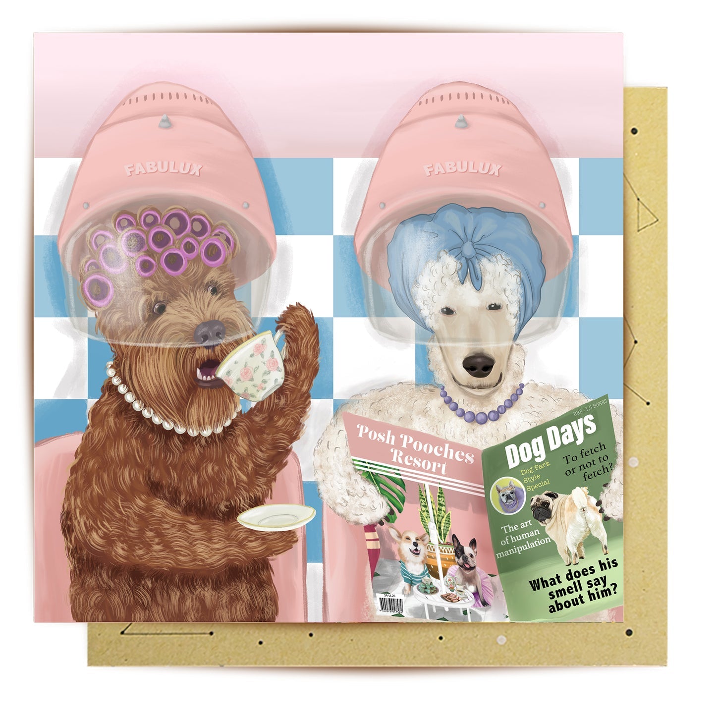 GREETING CARD GROOMING LADIES