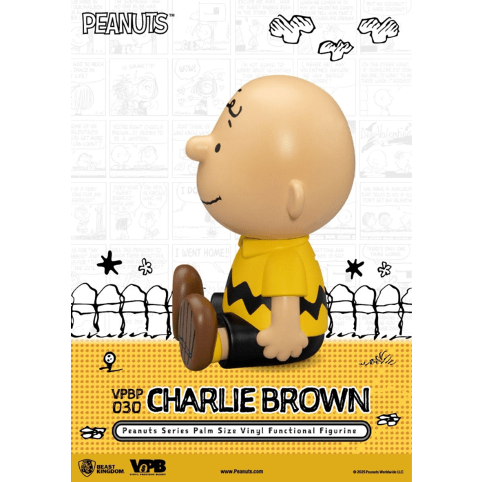 Peanuts Charlie Money Box - Mu Shop