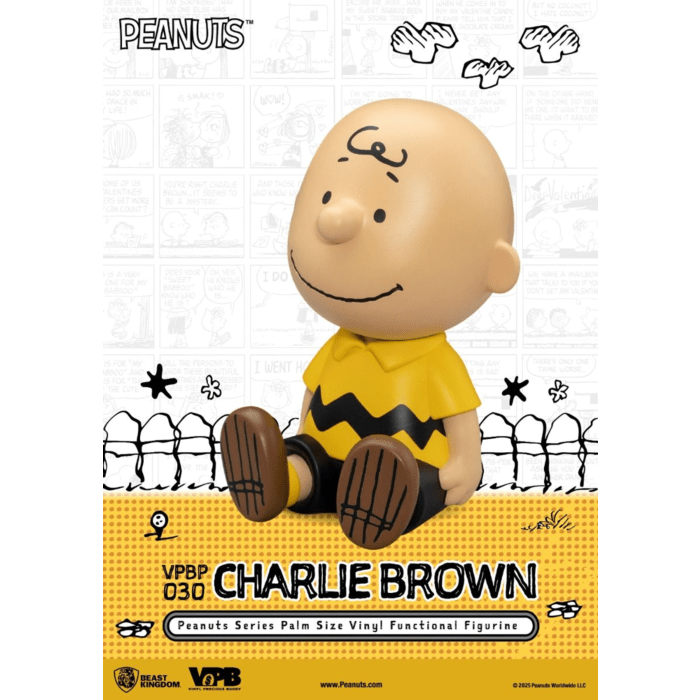 Peanuts Charlie Money Box - Mu Shop