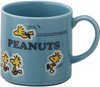 Peanuts Follow Me Mug with Wooden Box - Mu Shop