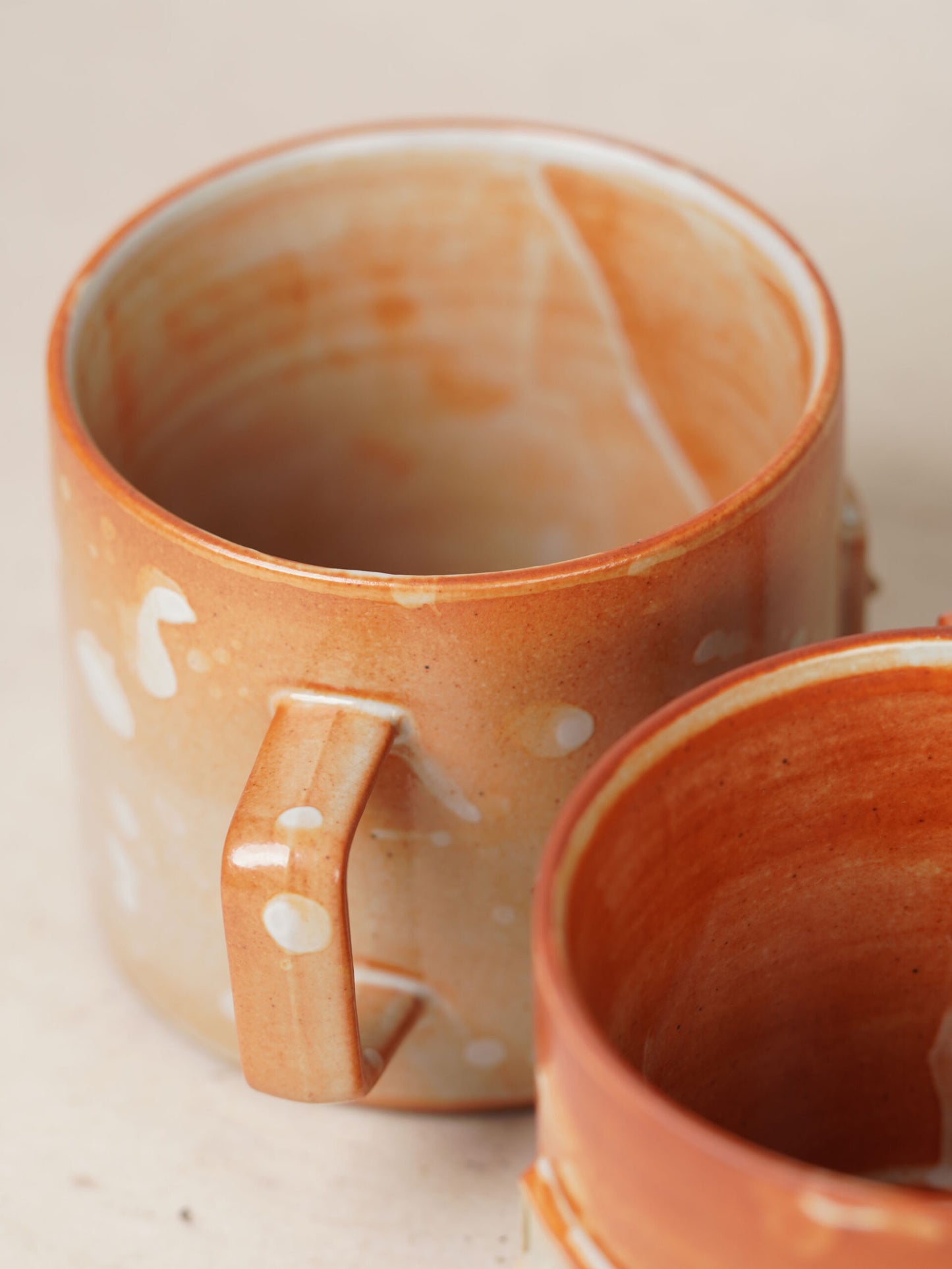 Mysterious Tasmanian Tiger Mug 500ml