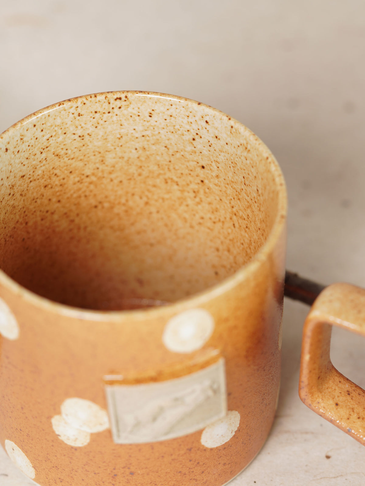 Quick-Witted Tiger Quoll Mug 380ml