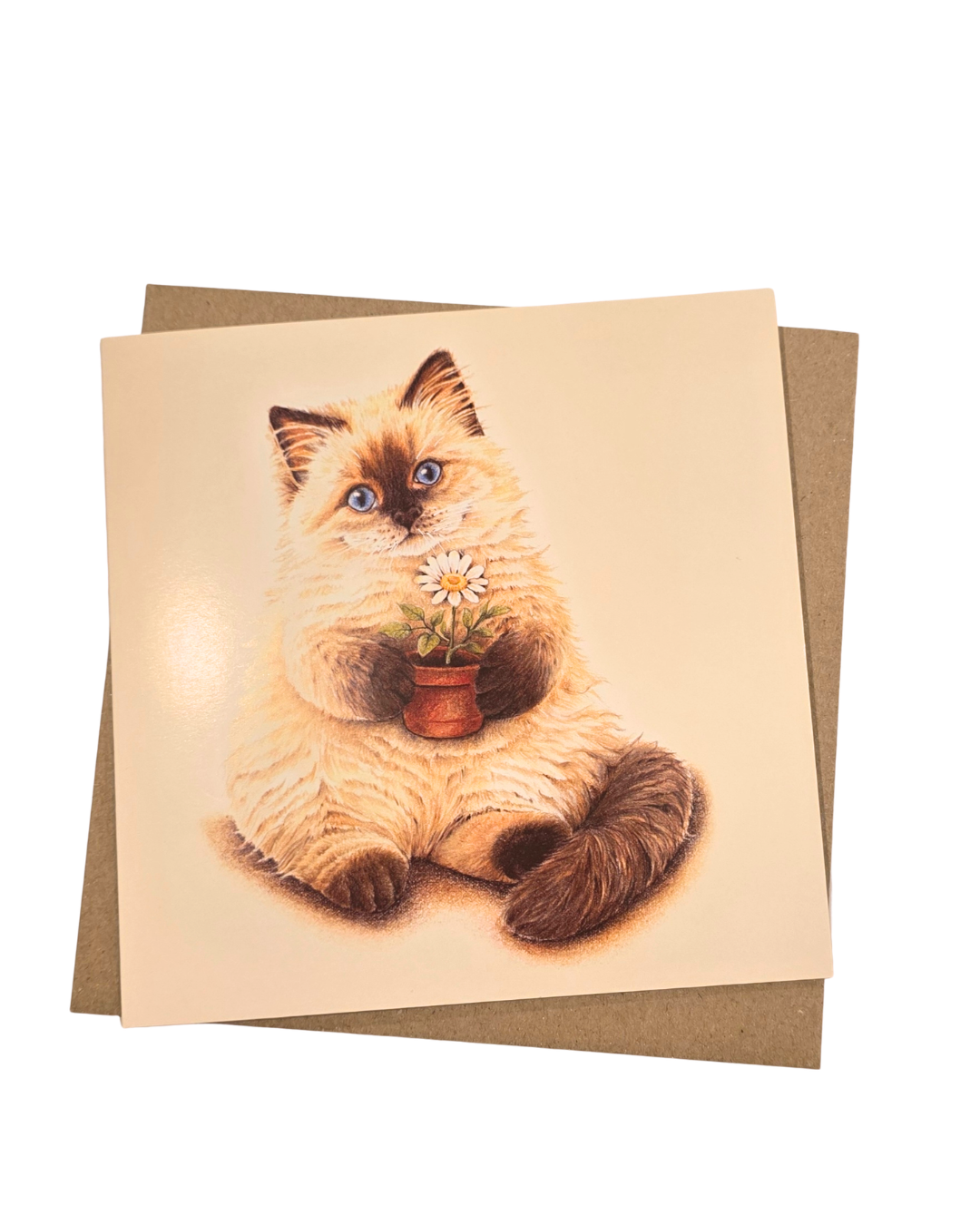 Ragdoll Furry Purry Cream Puff Greeting Card
