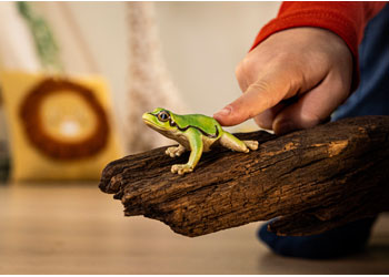 Additional view of European Tree Frog Figure 3cm