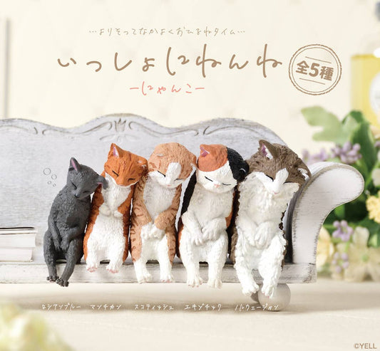 Sleep Together Cats (Blind Box) - Mu Shop