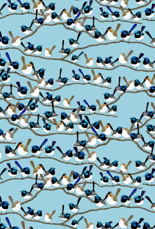 Superb Fairy Wrens Card - Mu Shop