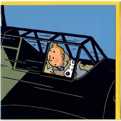 Tintin Greeting Cards - Dark Plane - Mu Shop