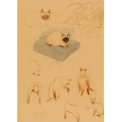 TINTIN POSTCARD - Cats (12,5x17,5cm) - Mu Shop