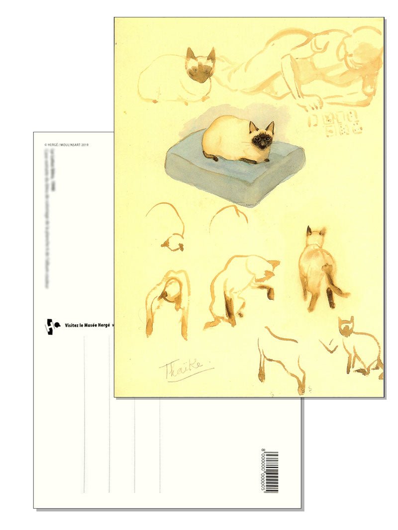 TINTIN POSTCARD - Hergé Cats Illustration - Mu Shop