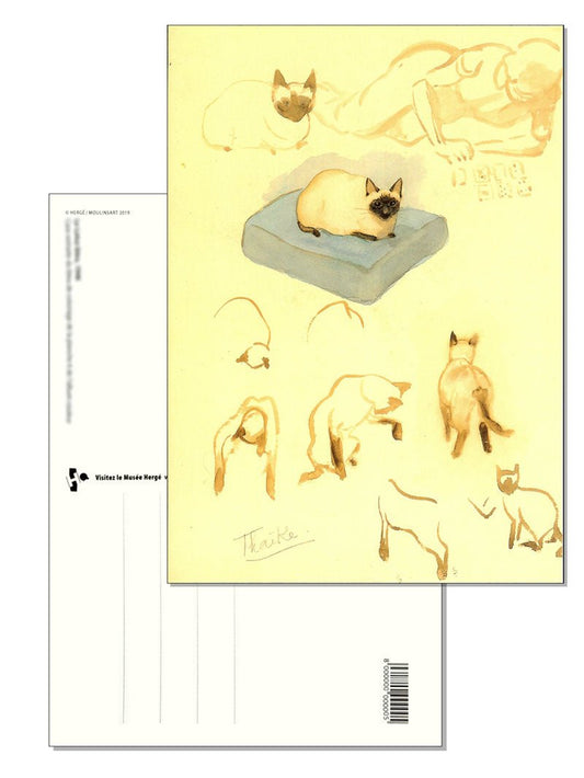 TINTIN POSTCARD - Hergé Cats Illustration - Mu Shop