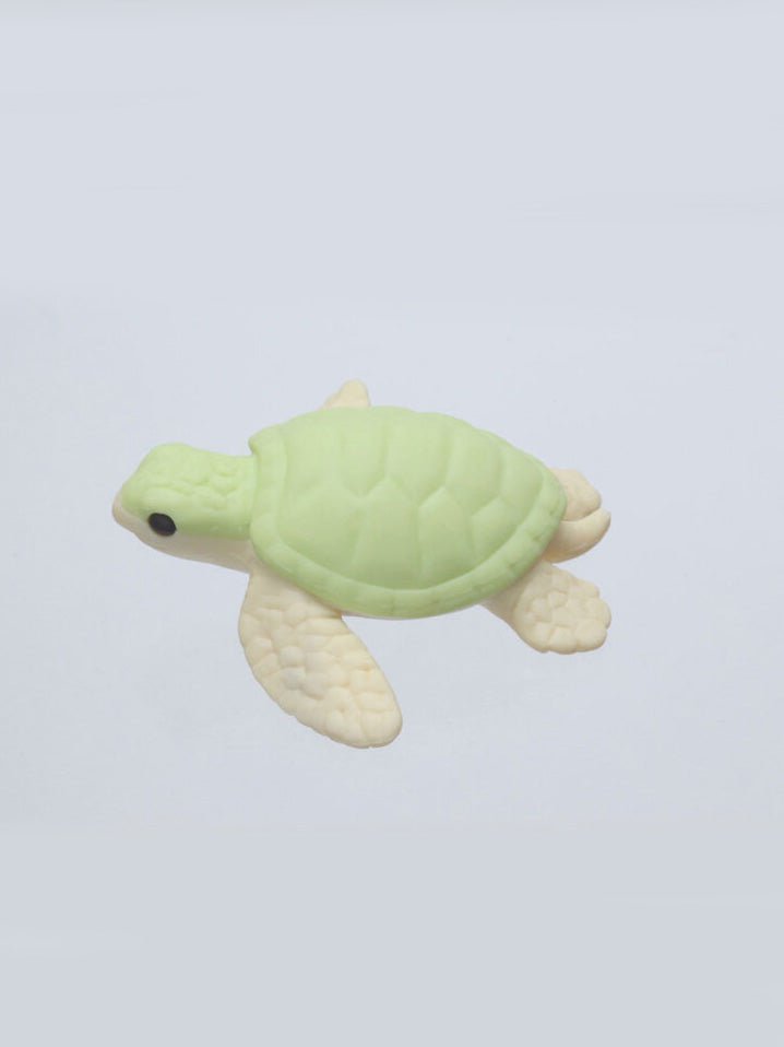 Turtle Eraser Green - Mu Shop