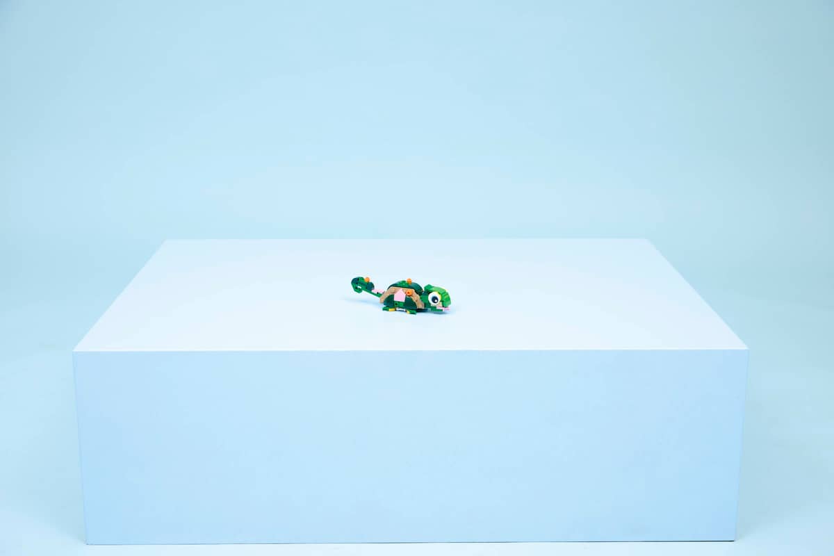 Turtle with a Water Lily Flower - Mu Shop