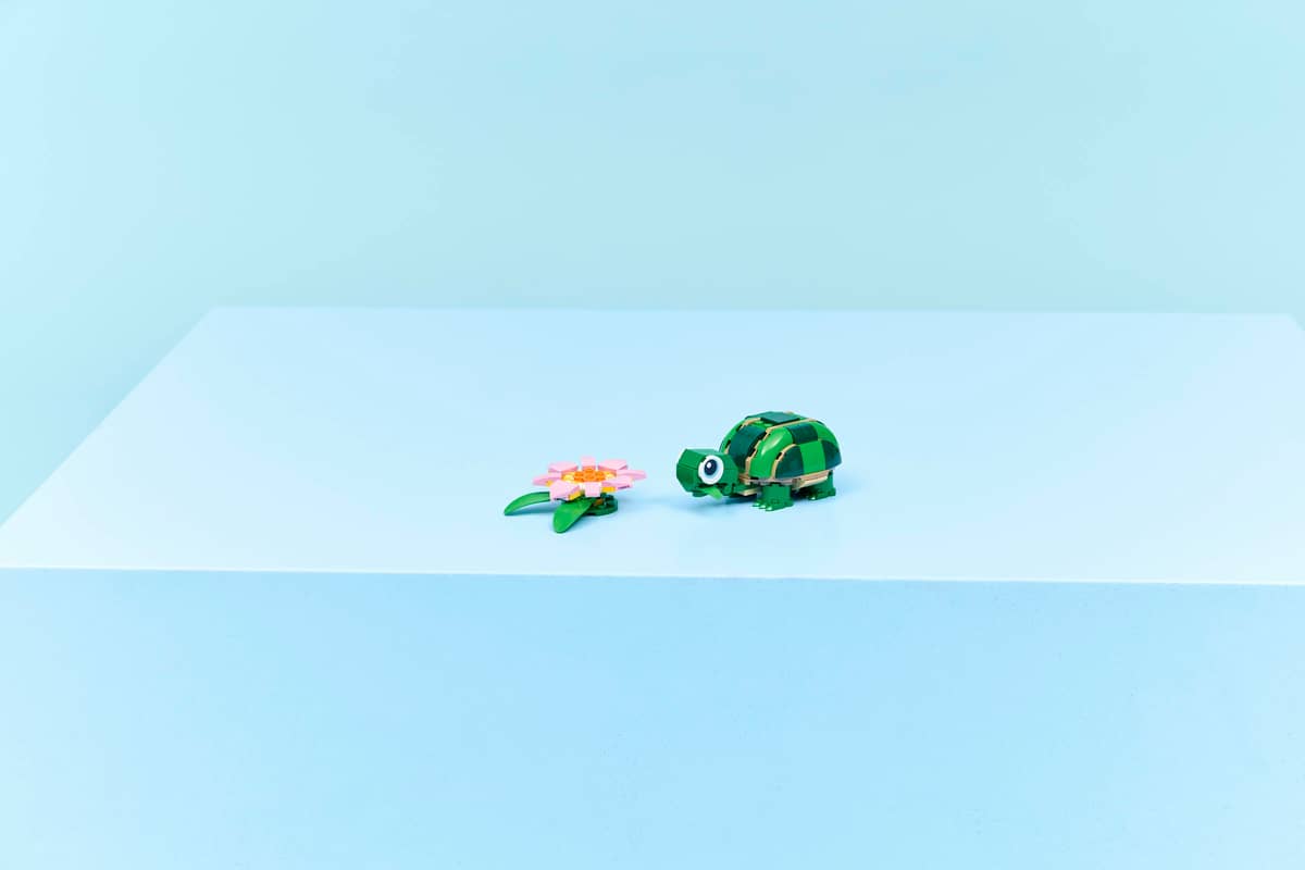 Turtle with a Water Lily Flower - Mu Shop