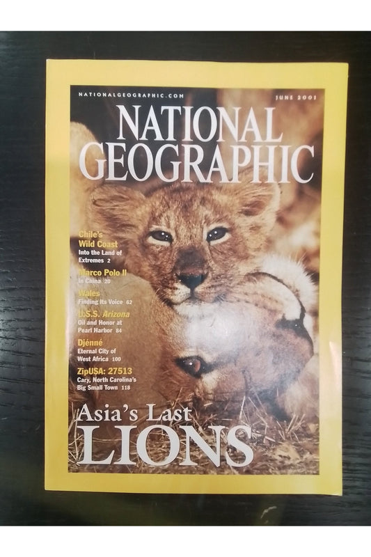 Vintage National Geographic June 2001 - Mu Shop