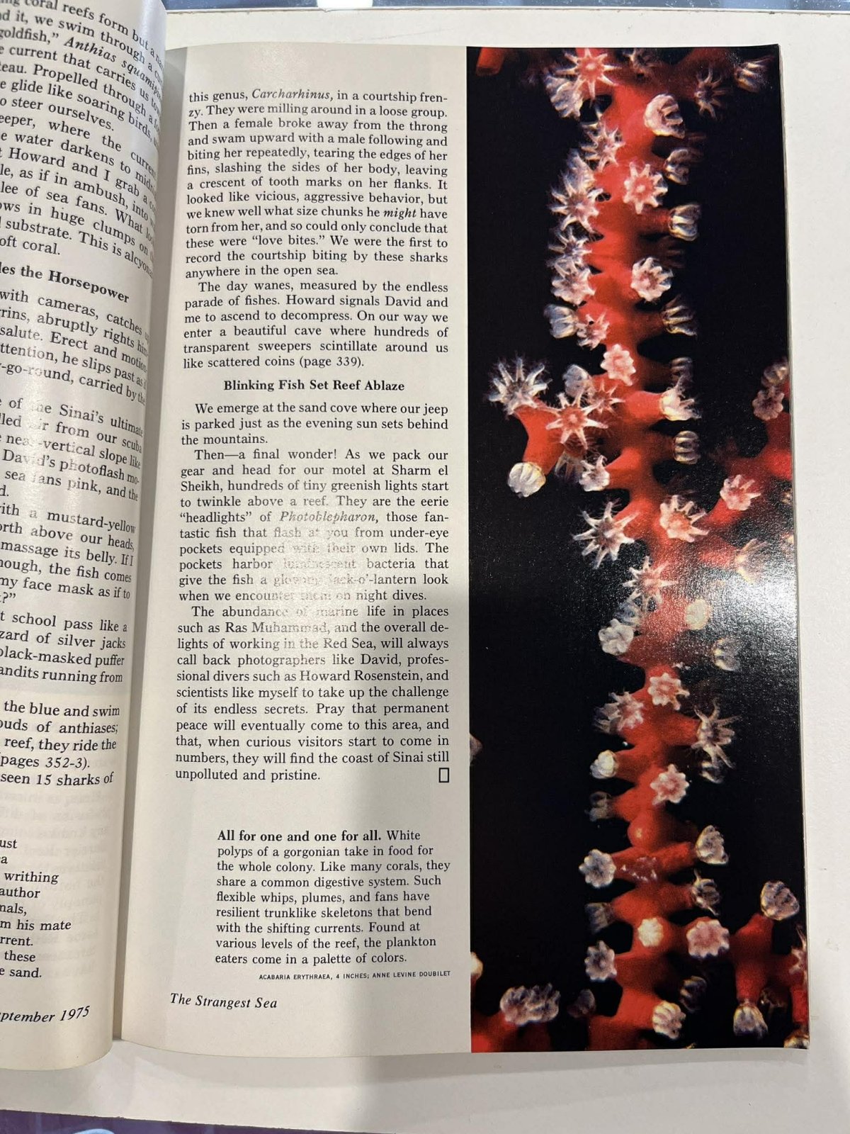 Vintage National Geographic September 1975 - Mu Shop