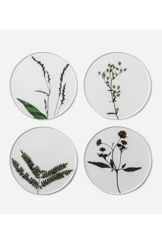 Botanical Oshibana Coasters Set B - Mu Shop