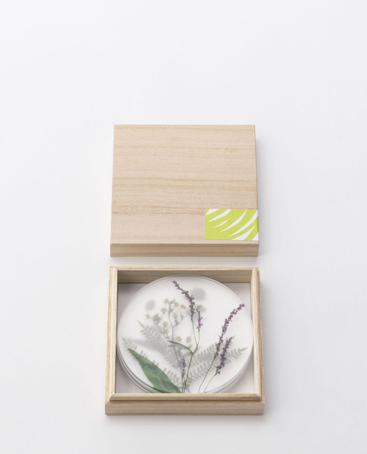 Botanical Oshibana Coasters Set B - Mu Shop