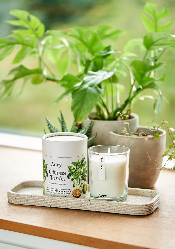 Citrus Tonic Scented Candle - Lime Bergamot and Mandarin - Mu Shop