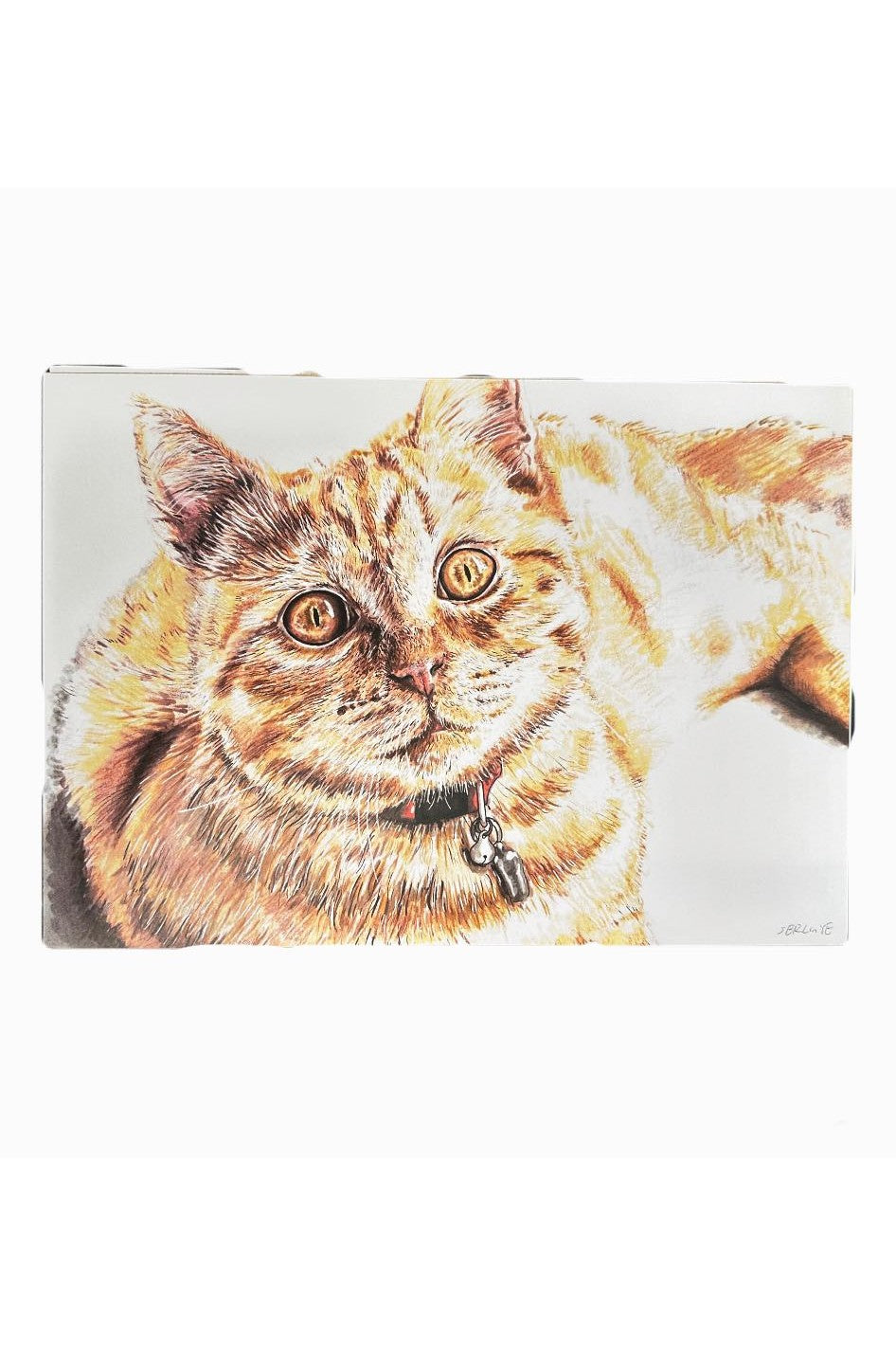 Cute Orange Cat Print - Mu Shop