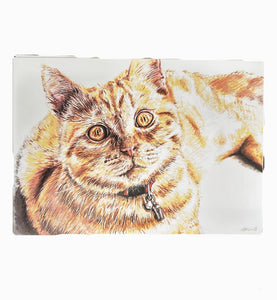 Cute Orange Cat Print - Mu Shop