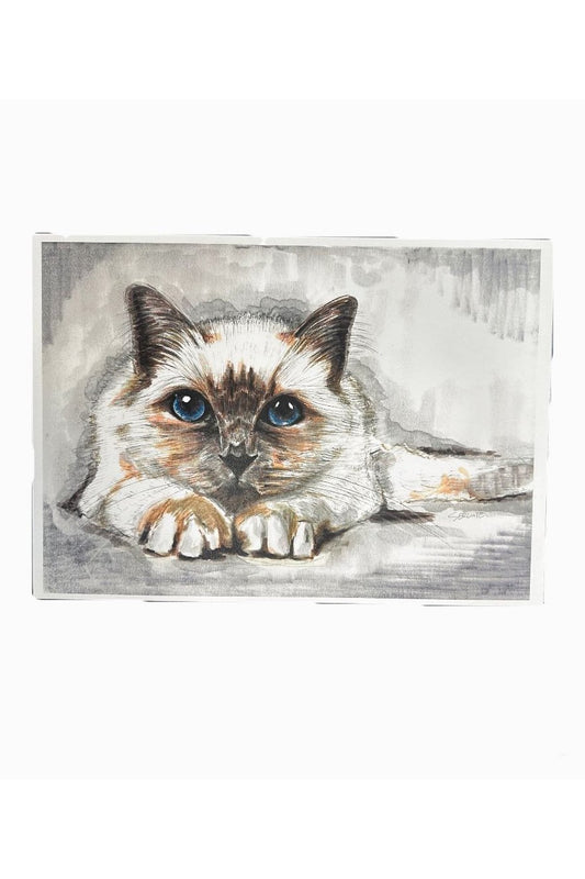 Cute Ragdoll Cat Print - Mu Shop