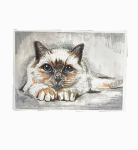 Cute Ragdoll Cat Print - Mu Shop