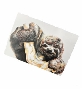 Cute Sloth Print - Mu Shop