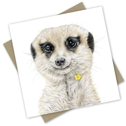 “Edmund” the Meerkat card