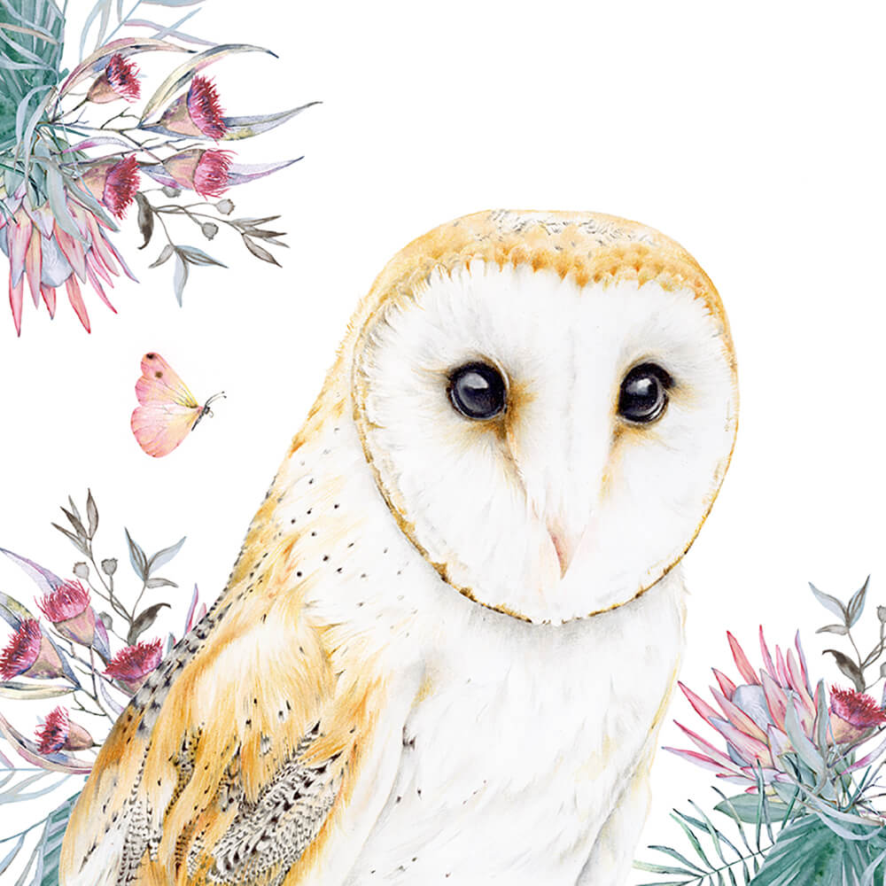 “Jarrah” the Australian Barn Owl Print - Mu Shop