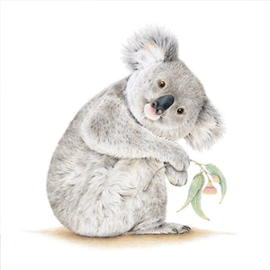 Koala Barangaroo Print 30 cm x 30 cm - Mu Shop