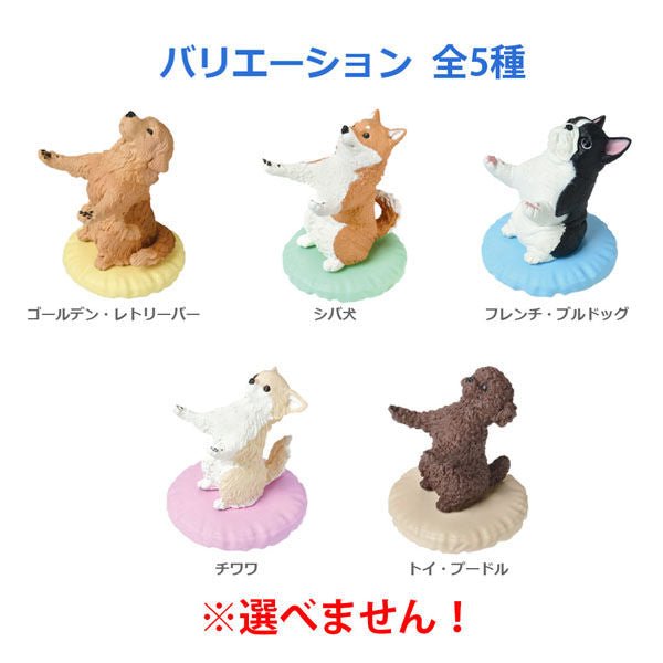 Pen Holding Dogs (Blind Box) - Mu Shop