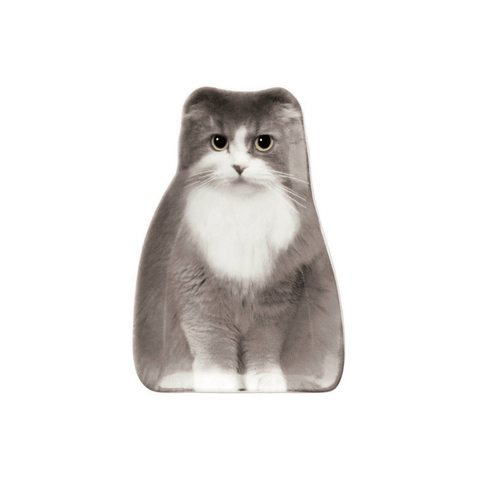 Real Cat Ceramic Plate - Scottish Fold - Mu Shop