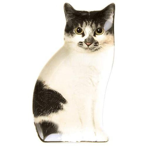 Realistic Cat Ceramic Small Plate - Mix - Mu Shop