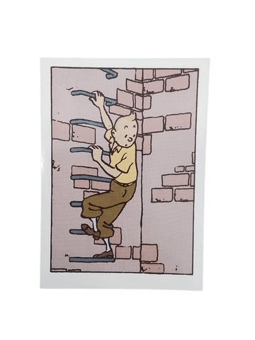 Tintin Greeting Card - Mu Shop