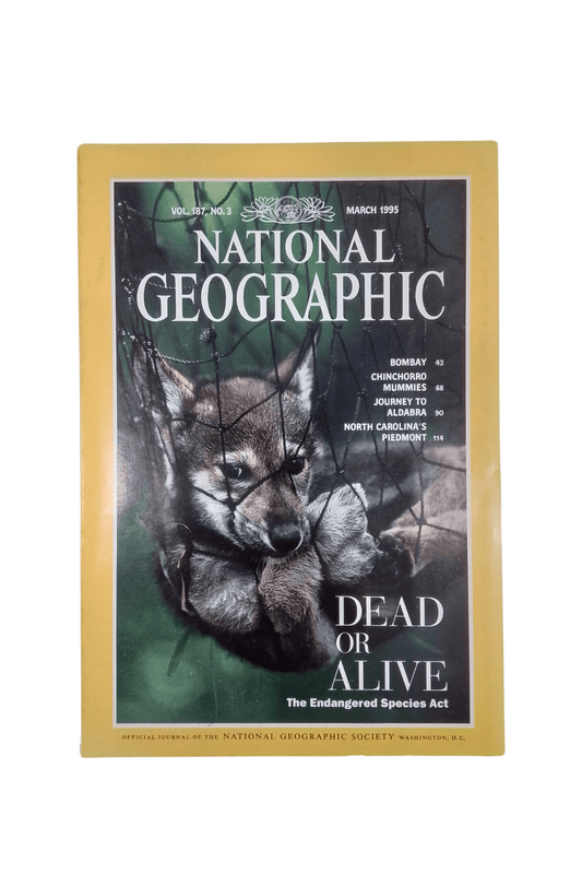 Vintage National Geographic March 1995 - Mu Shop