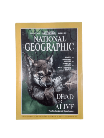 Vintage National Geographic March 1995 - Mu Shop