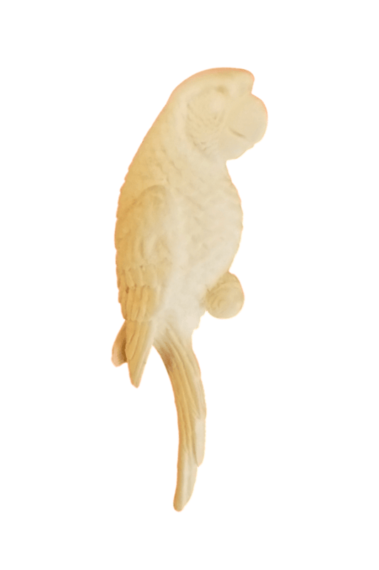 White Parrot Brooch - Mu Shop