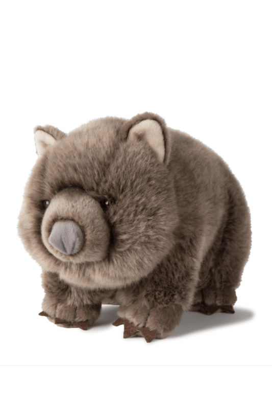 Wombat 28cm Plush - Mu Shop