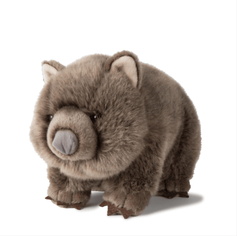 Wombat 28cm Plush - Mu Shop