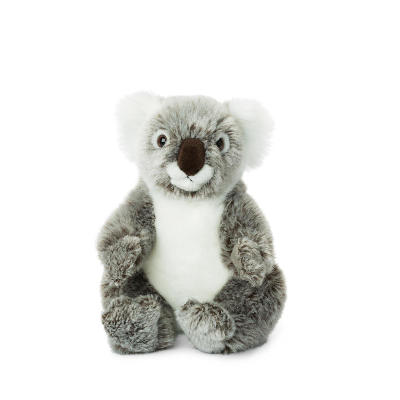 WWF Koala - 22 cm Plush - Mu Shop